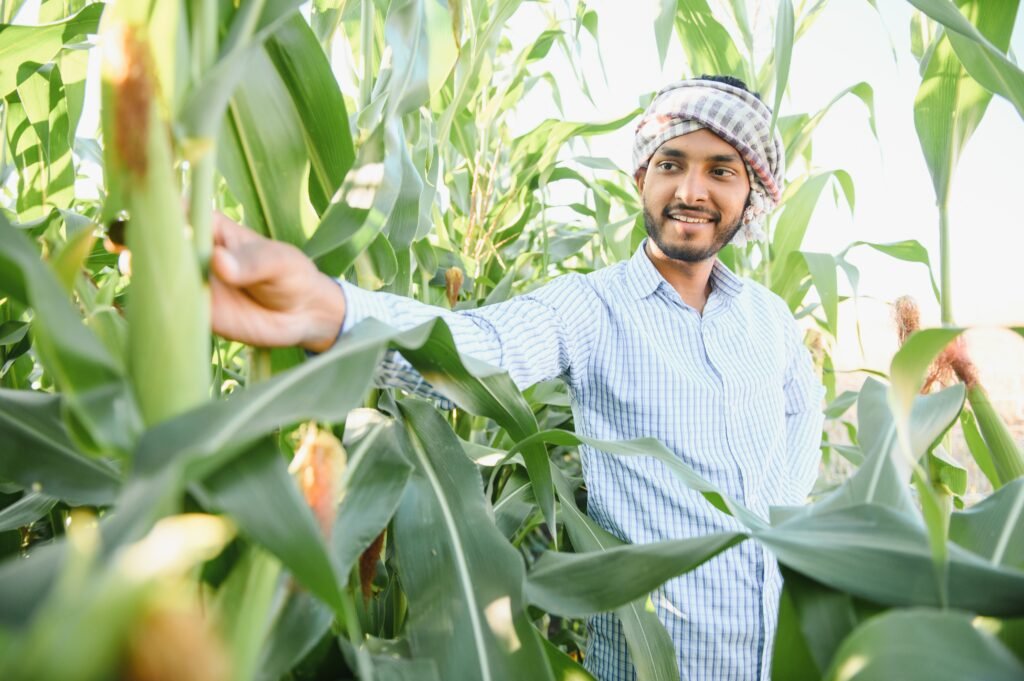 Increase crop yields