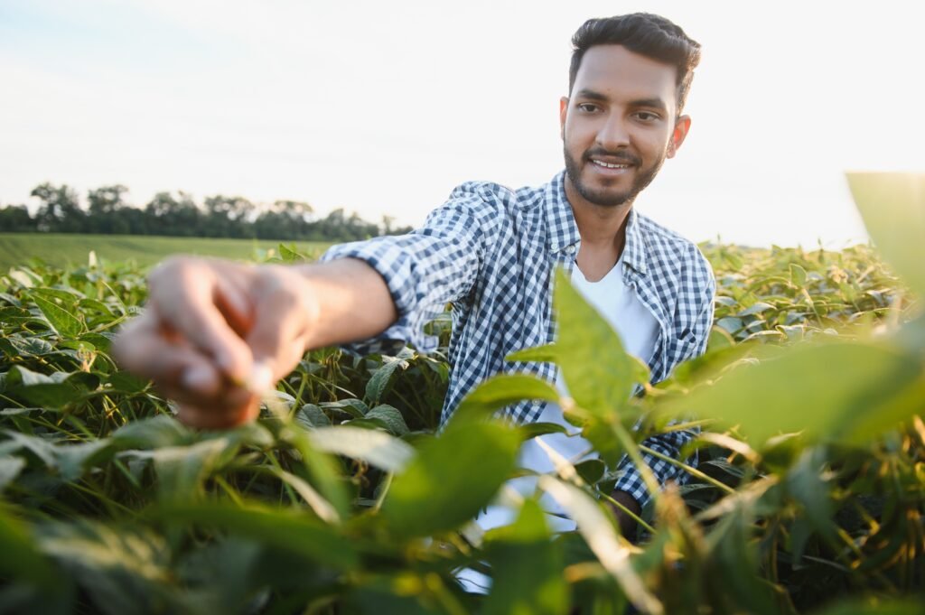 Increase crop yields