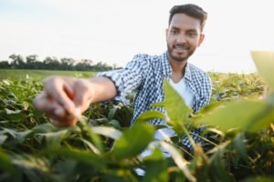 Increase crop yields