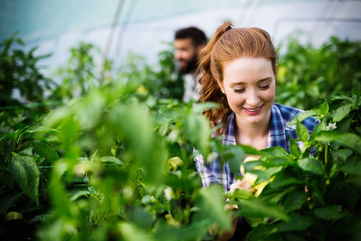 The Importance of Water Management in Sustainable Agriculture ...
