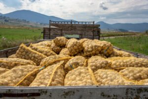 Government Policies in Agriculture
