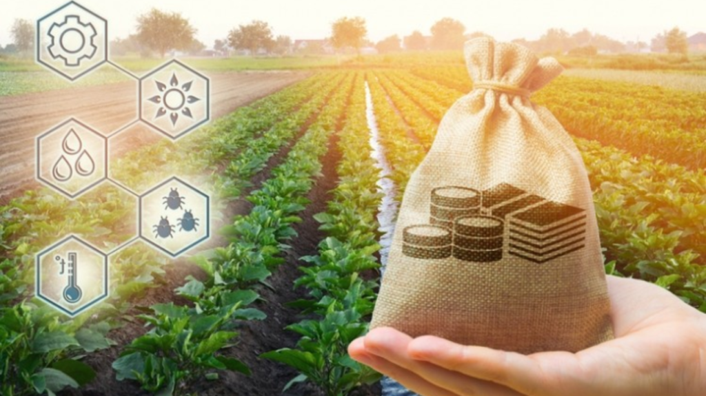 Marketing Strategies for Agricultural Products