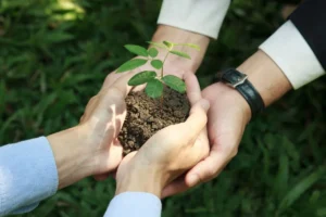 Sustainable Agriculture Practices