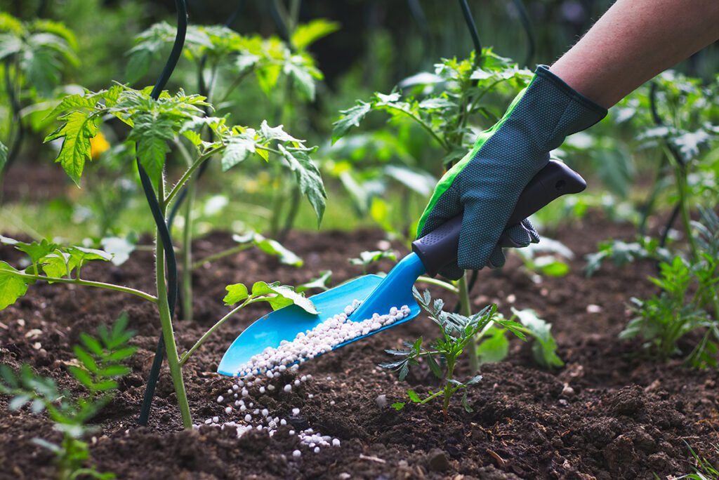 Choosing the right fertilizer