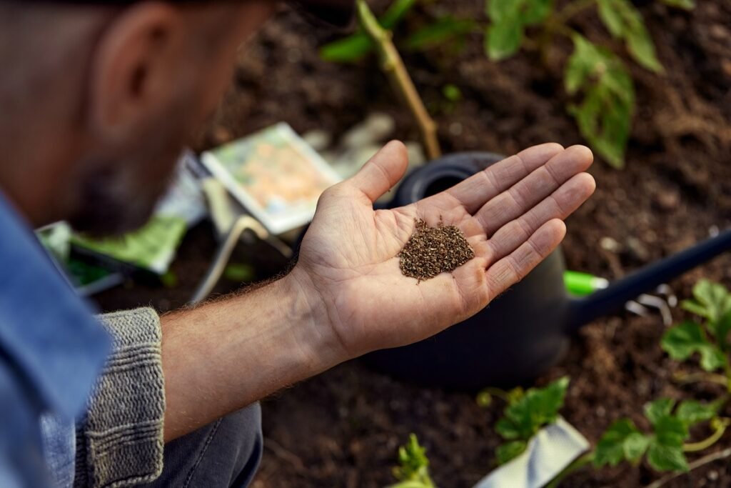 Choosing the right fertilizer