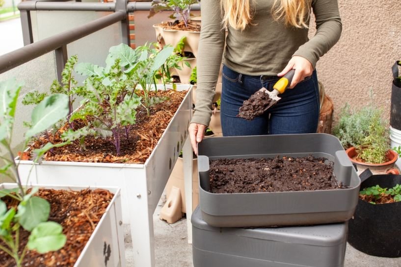 Choosing the right fertilizer