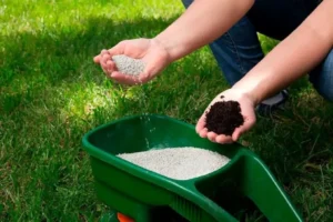 Choosing the right fertilizer