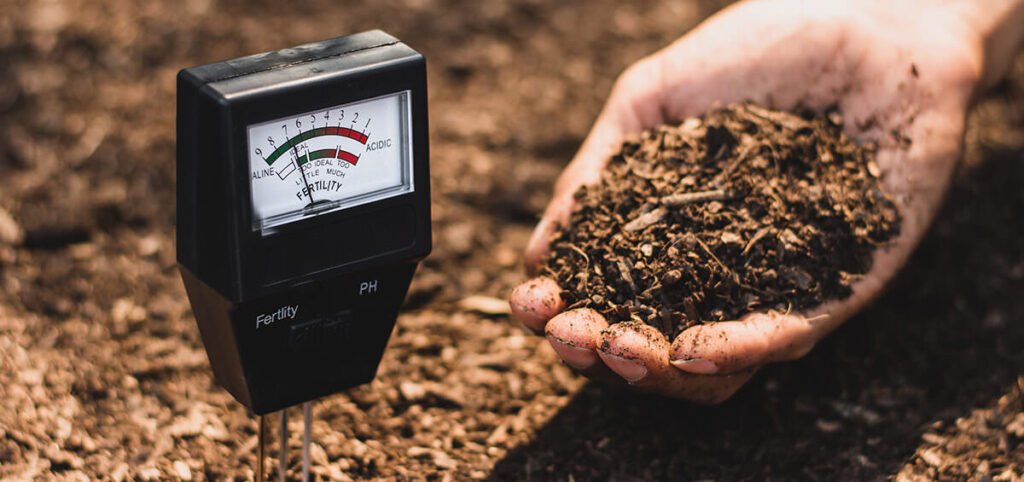 Soil Testing 4