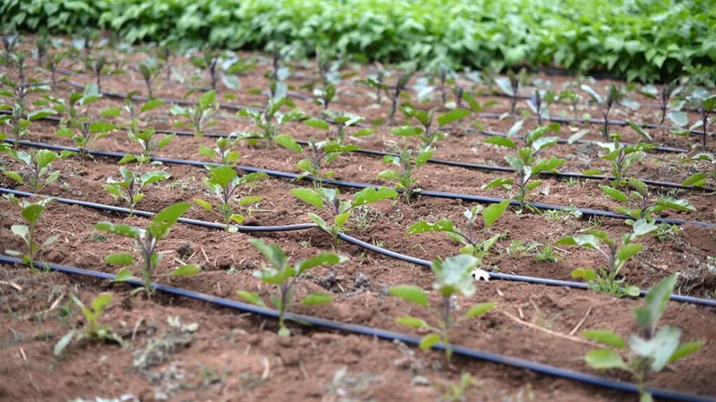 Modern Irrigation Techniques