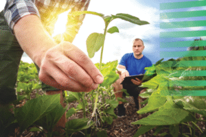 Environmental Policies