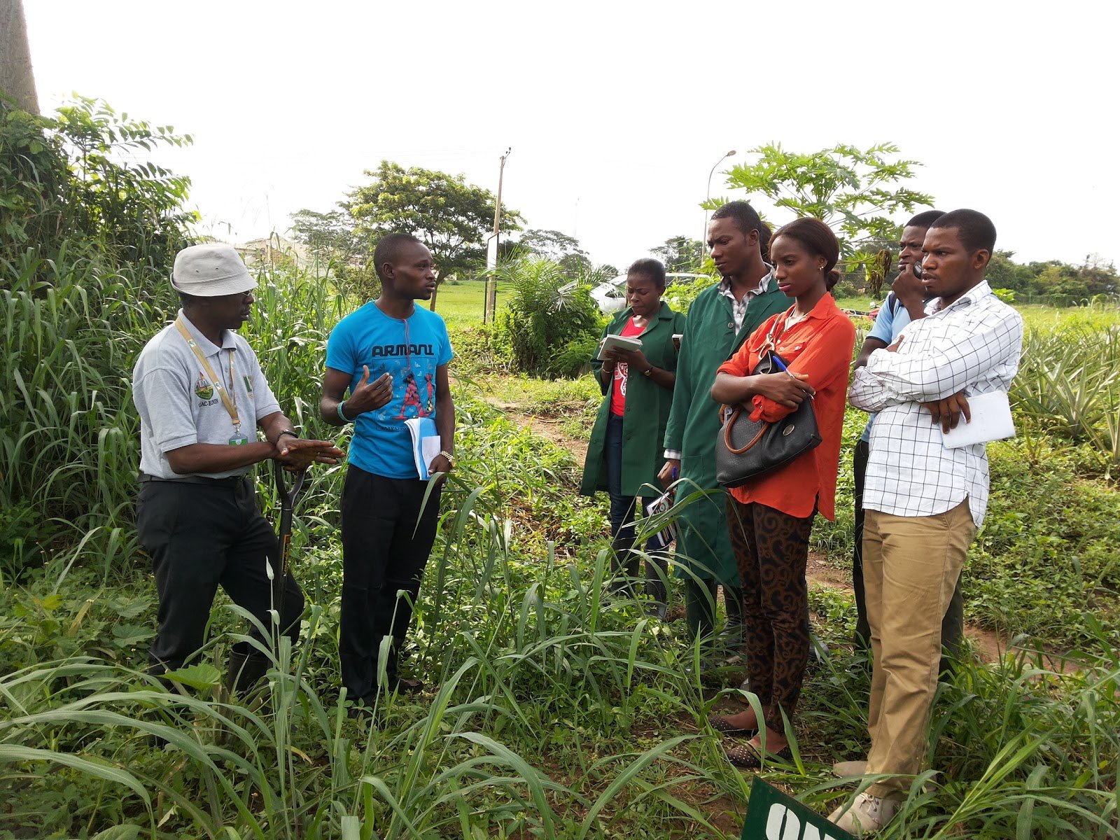 Vocational Training Programs in Modern Agriculture