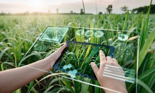 AI in Agriculture