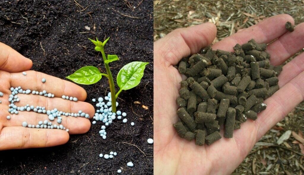 Organic Fertilizers