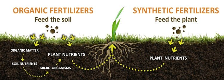 Organic Fertilizers