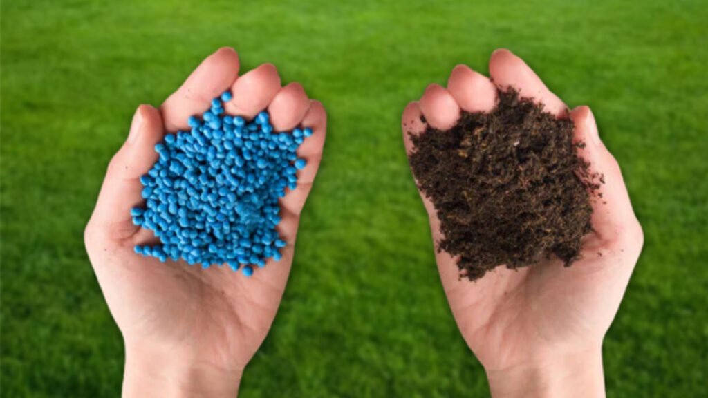 Organic Fertilizers