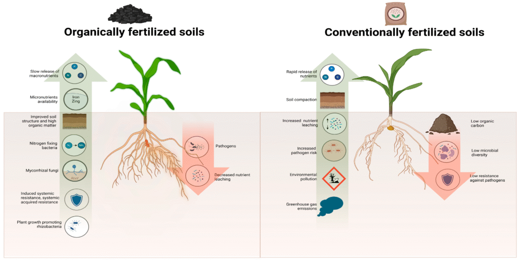 Soil Health