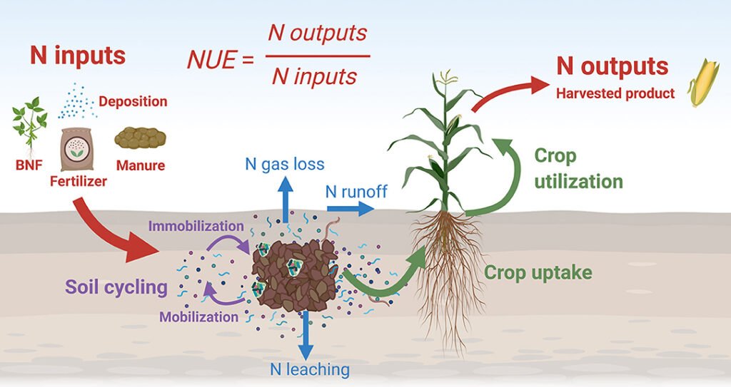 Soil Health
