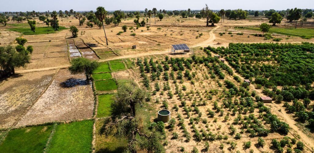 Sustainable Agriculture