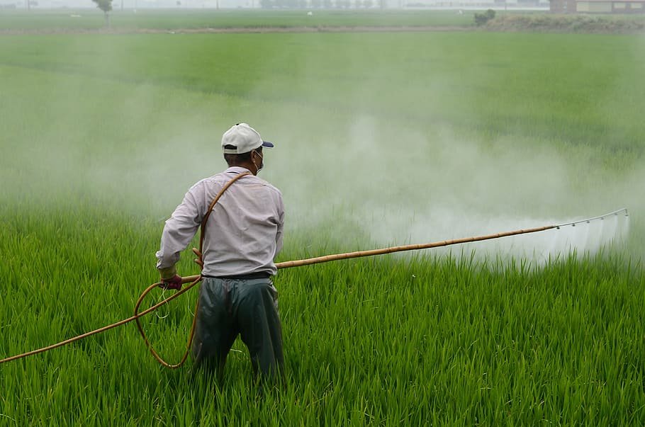 Sustainable Agriculture