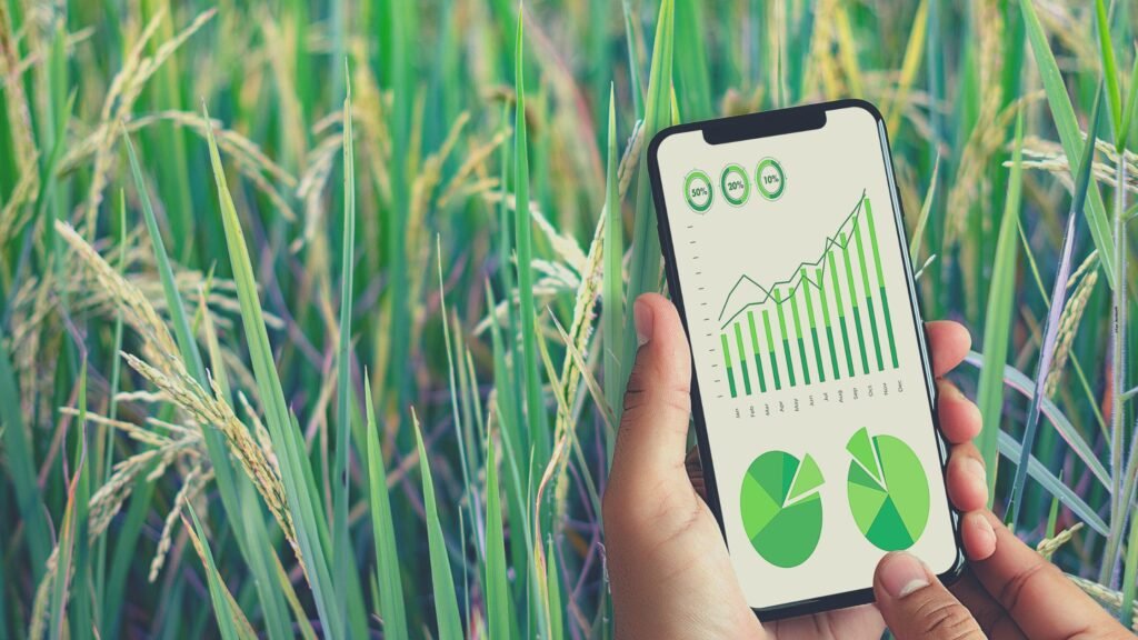 E-commerce in Agricultural Marketing