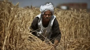 Enhancing farmers' skills