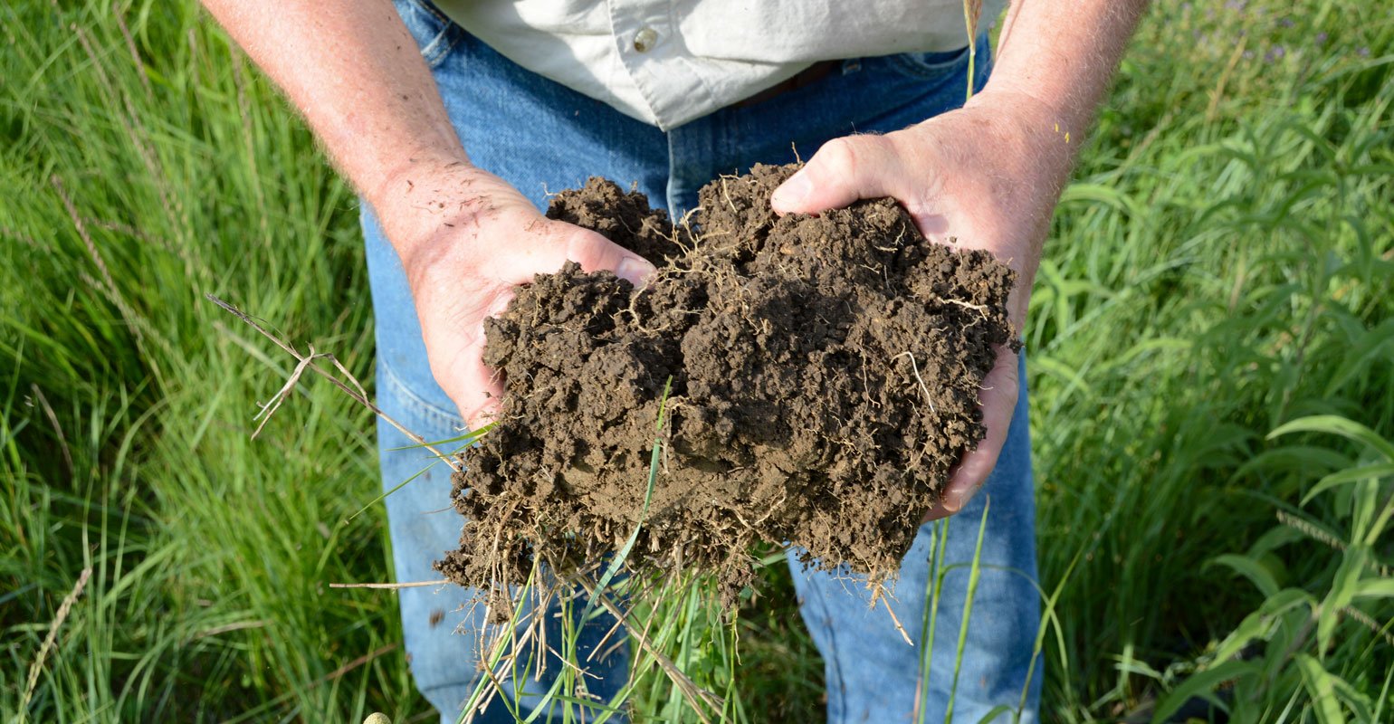 Impact of Fertilizers on Soil Health