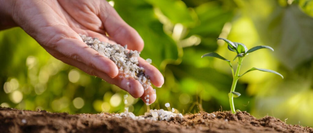 Impact of Fertilizers on Soil Health