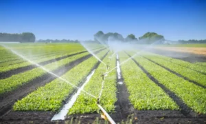 Reduce Water Consumption in Farming 1