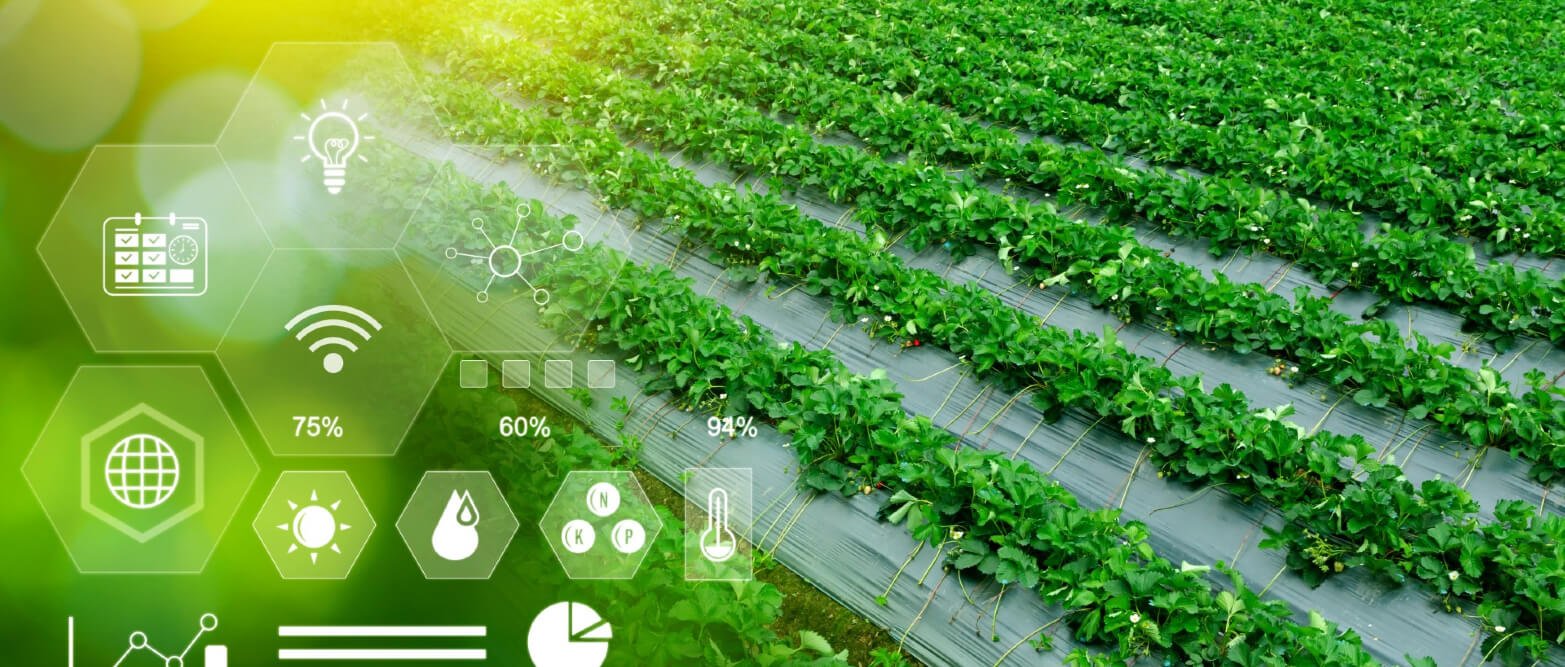 الابتكارات التكنولوجية في الزراعة: تحويل الزراعة التقليدية