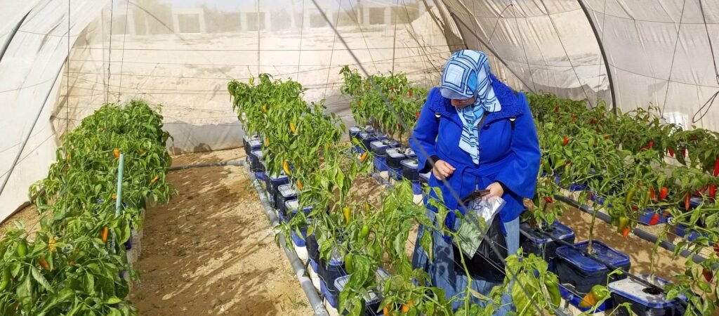 التقنيات الحديثة في الزراعة المستدامة
