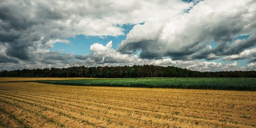 Weather Conditions and Crop Yields