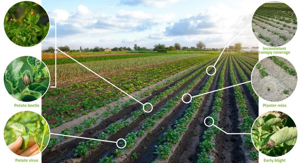 Weather Conditions and Crop Yields