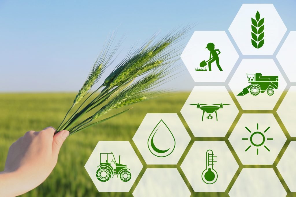 Weather Conditions and Crop Yields