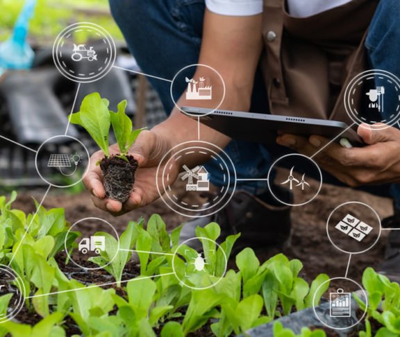 Big Data in Agriculture