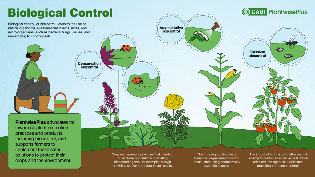 Biodiversity in Pest Control