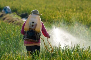 Biodiversity in Pest Control