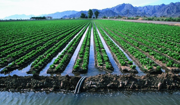 Water Resources