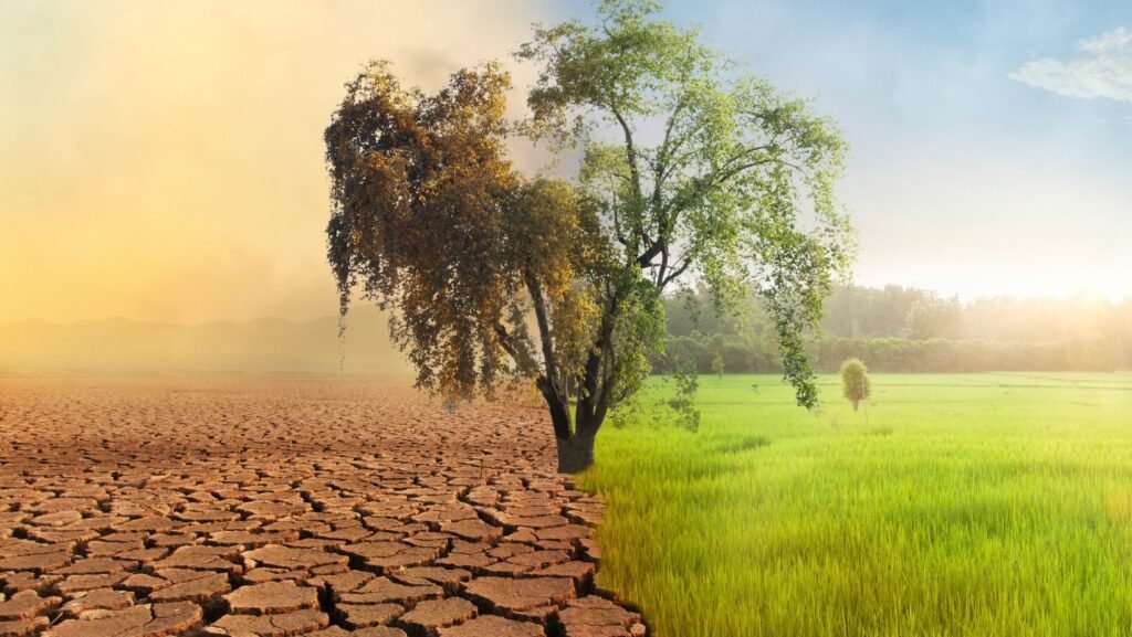 Climate Change and Agriculture
