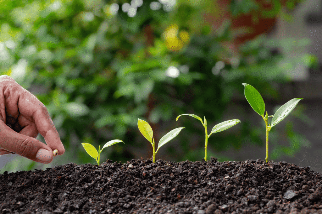 Local Communities in Sustainable Farming