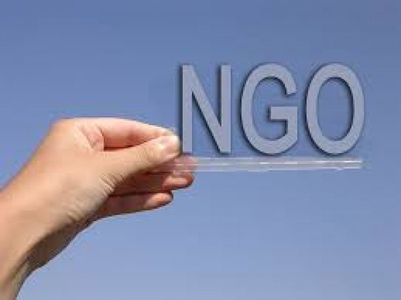 The Role of NGOs in Agricultural Education